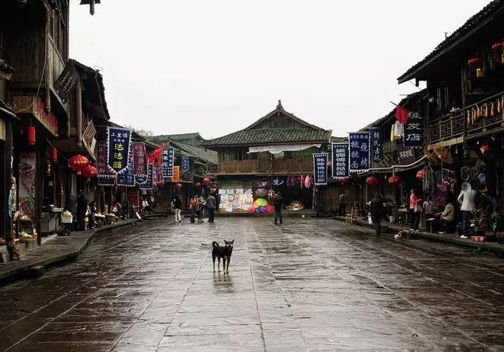 公主热带婚礼主题